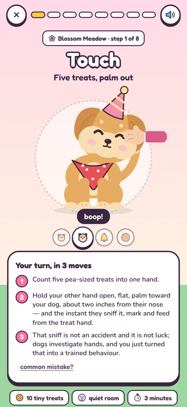 A Touch lesson: a looping cartoon of the step, then three numbered instructions